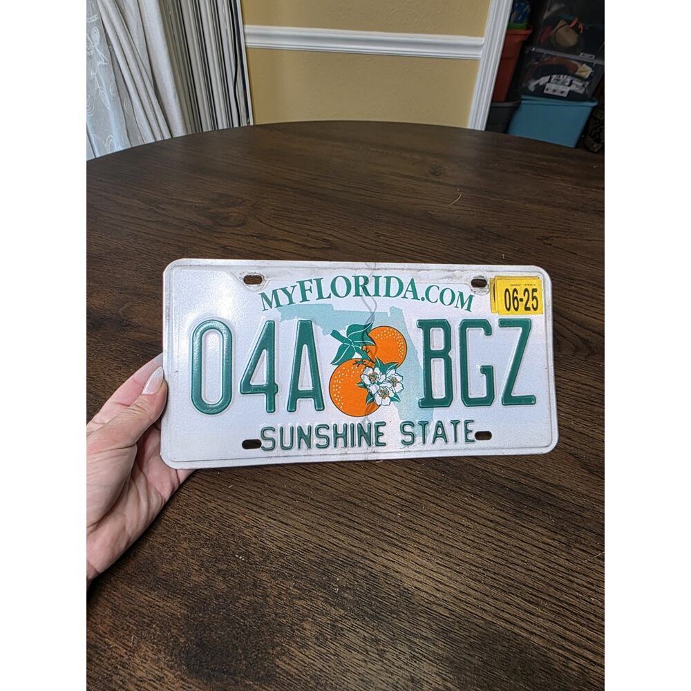 Florida Sunshine State US Car License Plate 04ABGZ